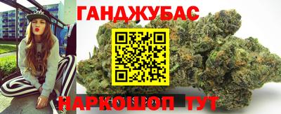 гашик Новозыбков