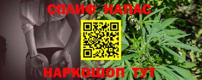 гашик Новозыбков