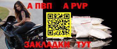 гашик Новозыбков
