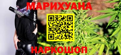гашик Новозыбков