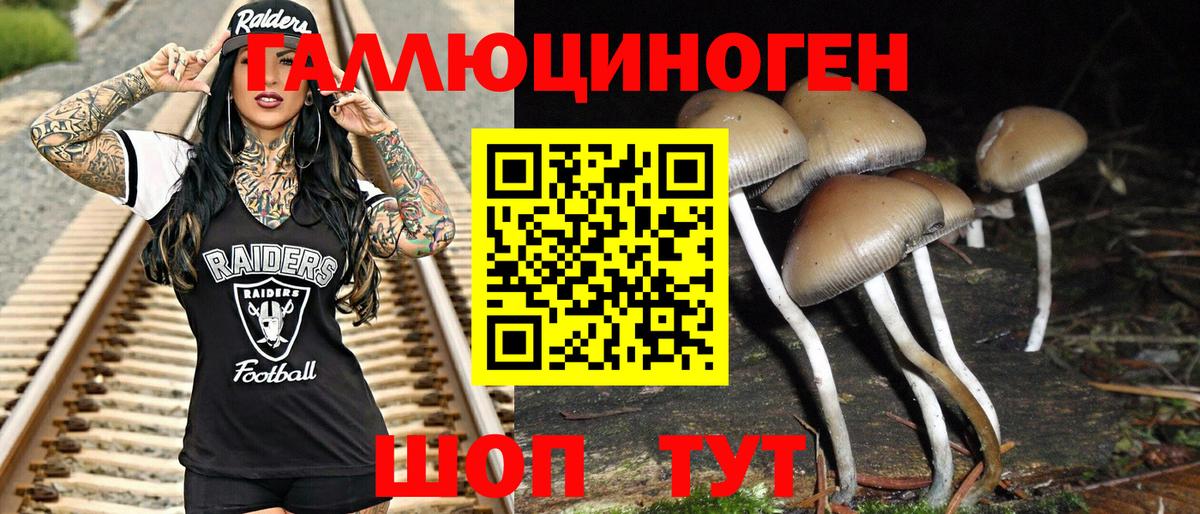 Псилоцибиновые грибы Psilocybe Серов